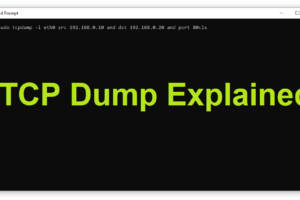 TCP Dump Explained